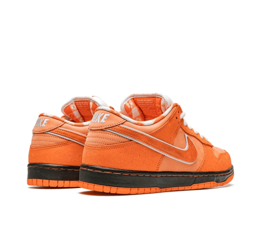 Concepts x Nike SB Dunk Low Orange Lobster-Nike-Mbuzi