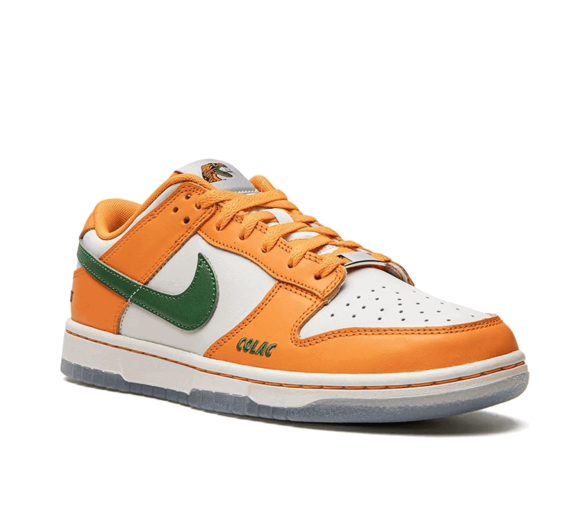 Florida A&M x Nike Dunk Low Family-Nike-Mbuzi